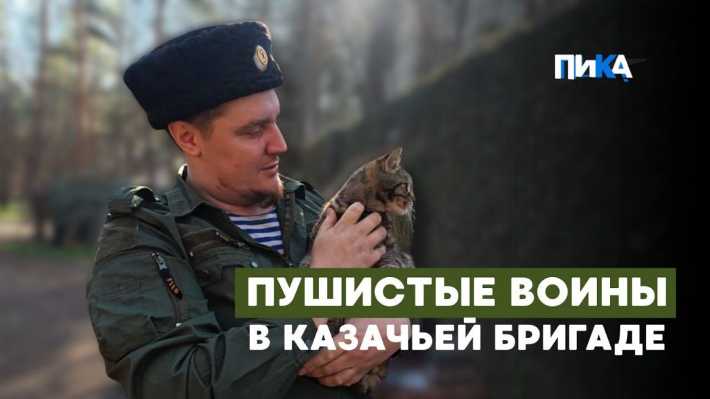 Как несут боевую службу четвероногие бойцы